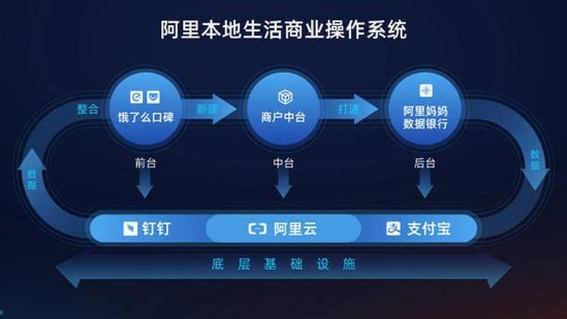 搬家宠物托运全攻略：手续与注意事项